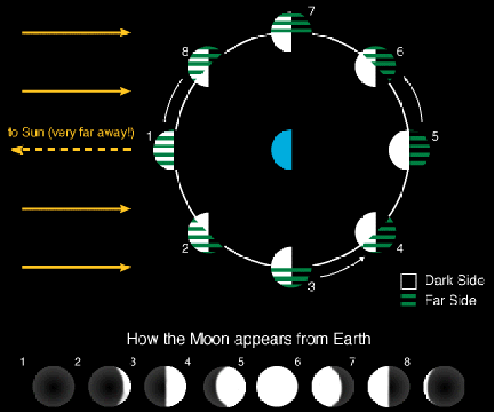 Thee Moon's Phases